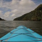 Reel Adventures - Banner Image (1)