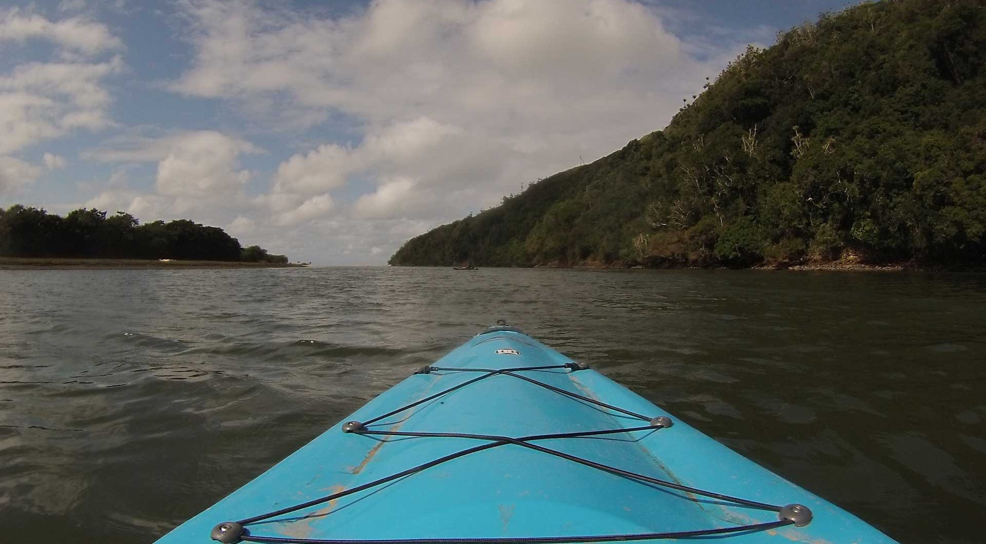 Reel Adventures - Banner Image (1)